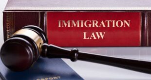 Before You Start Looking for Immigration Law Offices Near Me You Need to Know Some Reasons Why Immigration Lawyer is So Important