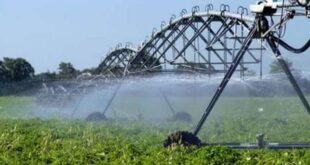How To Choose the Right Local Irrigation Companies Near Me