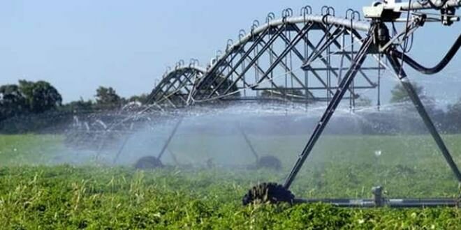 How To Choose the Right Local Irrigation Companies Near Me