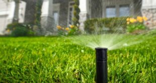 Reasons Why You Need Lawn Irrigation Companies Near Me