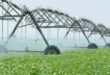 The Ultimate Guide to Choosing Drainage and Irrigation Companies Near Me