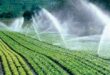 Tips For Choosing the Best Sprinkler Irrigation Companies Near Me